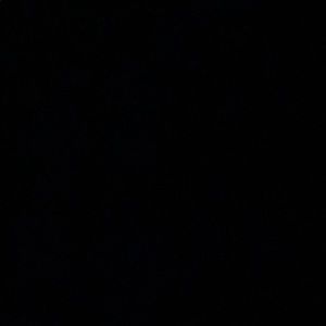 Meet your Posher, Jalen